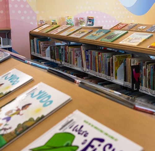 Picture books on shelf